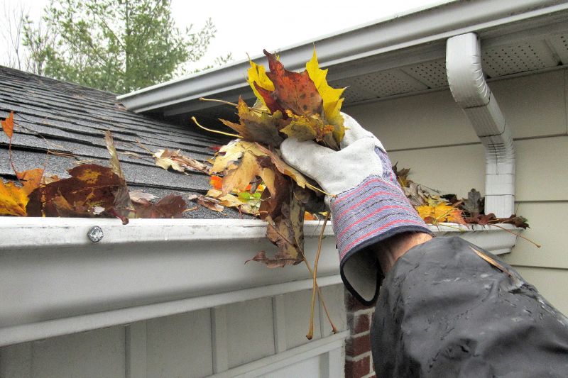 Gutter Blockage Removal in Longmont, CO